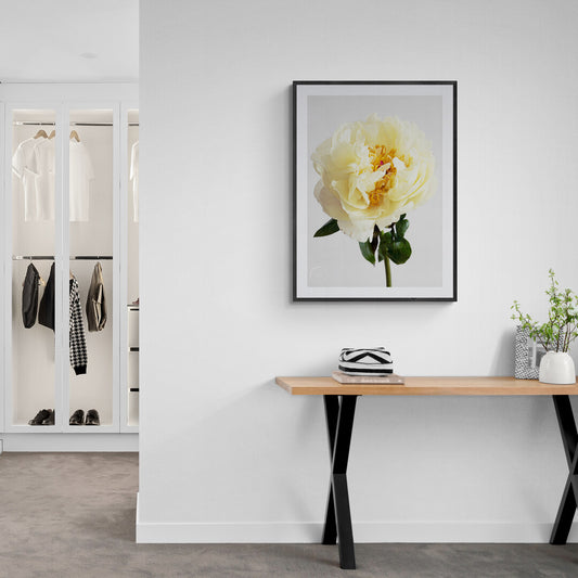 Peony Lemon Chiffon #2 Open Edition Print