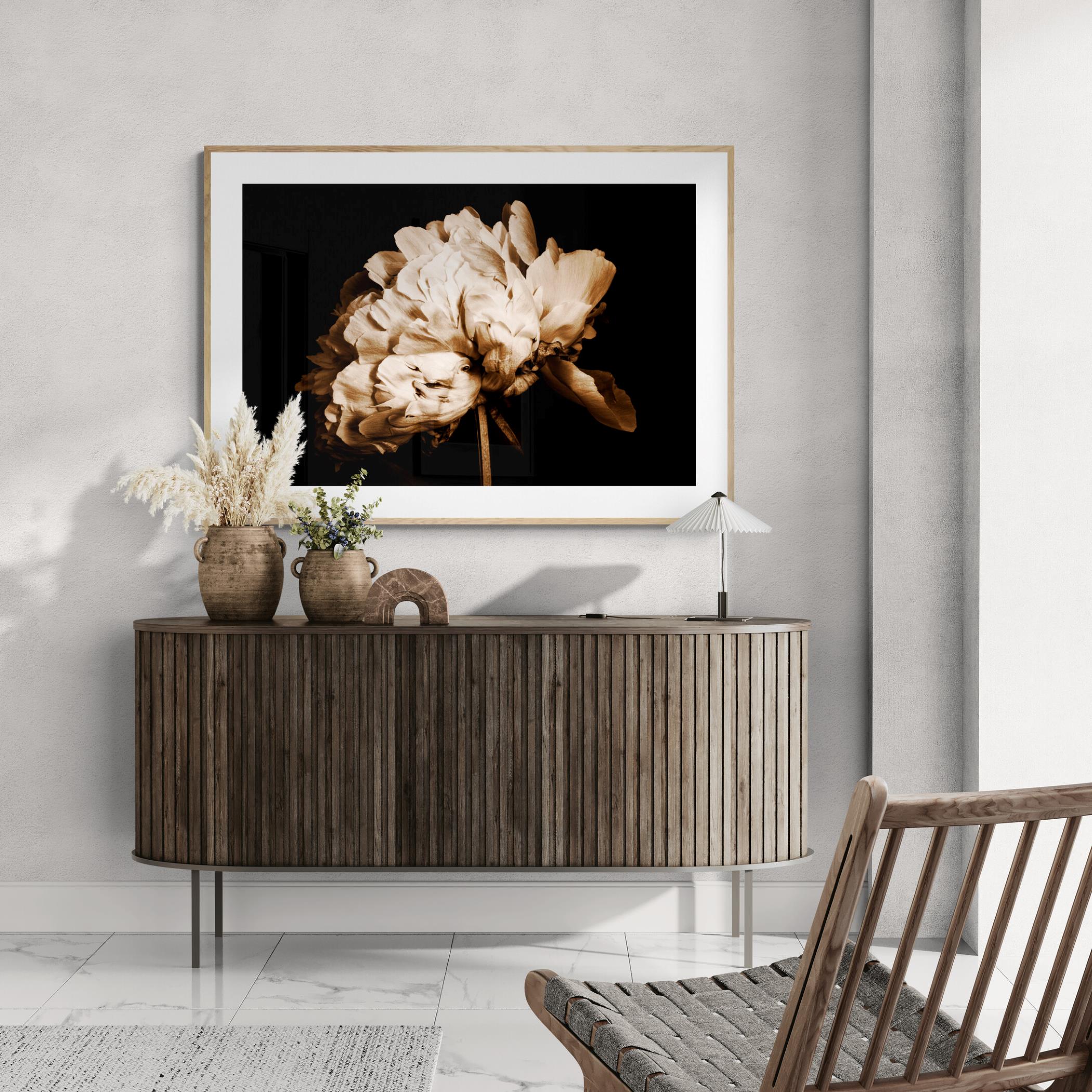 Portrait of a Peony - Limited Edition Print