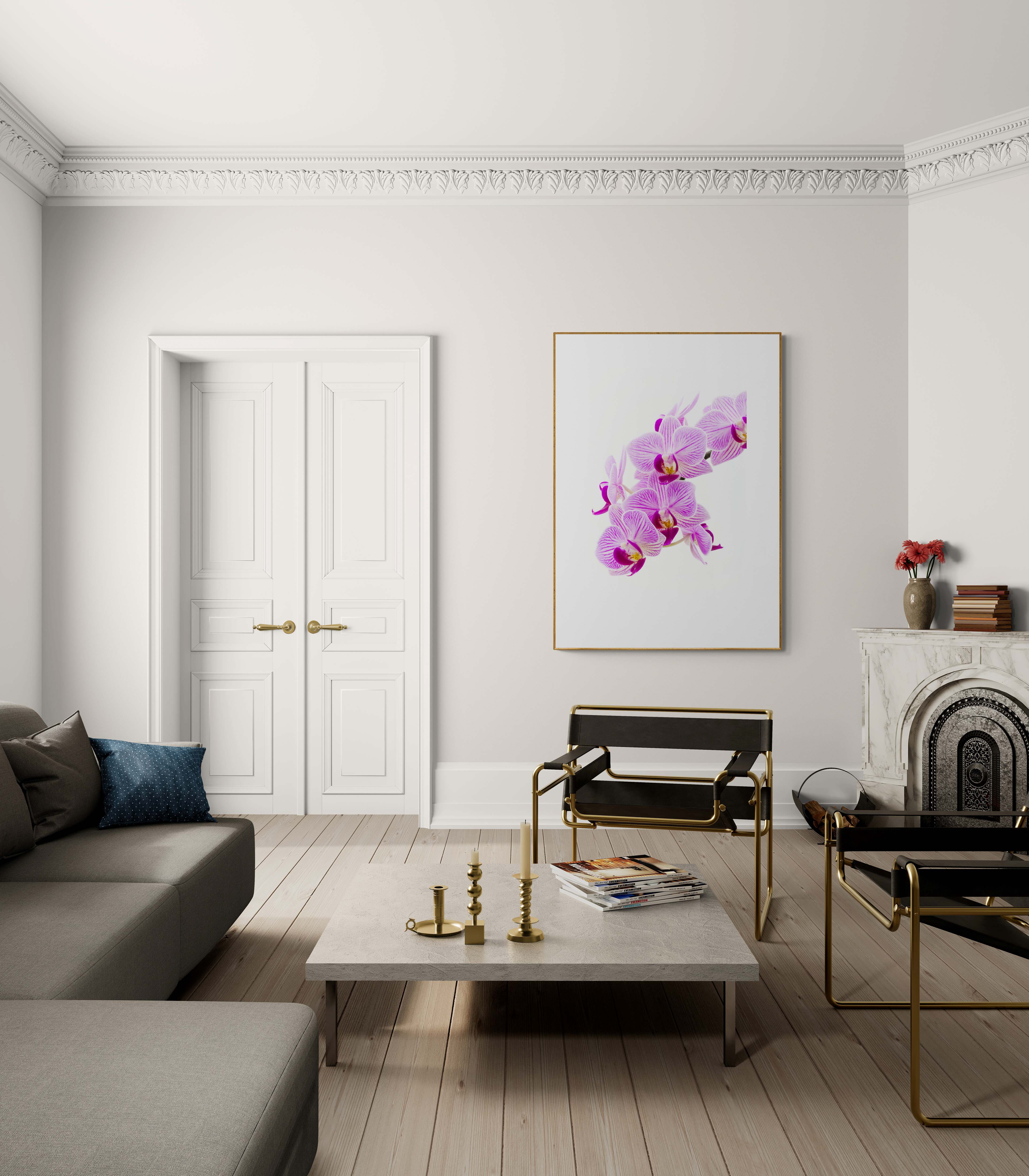 Pink Orchid Poster Print