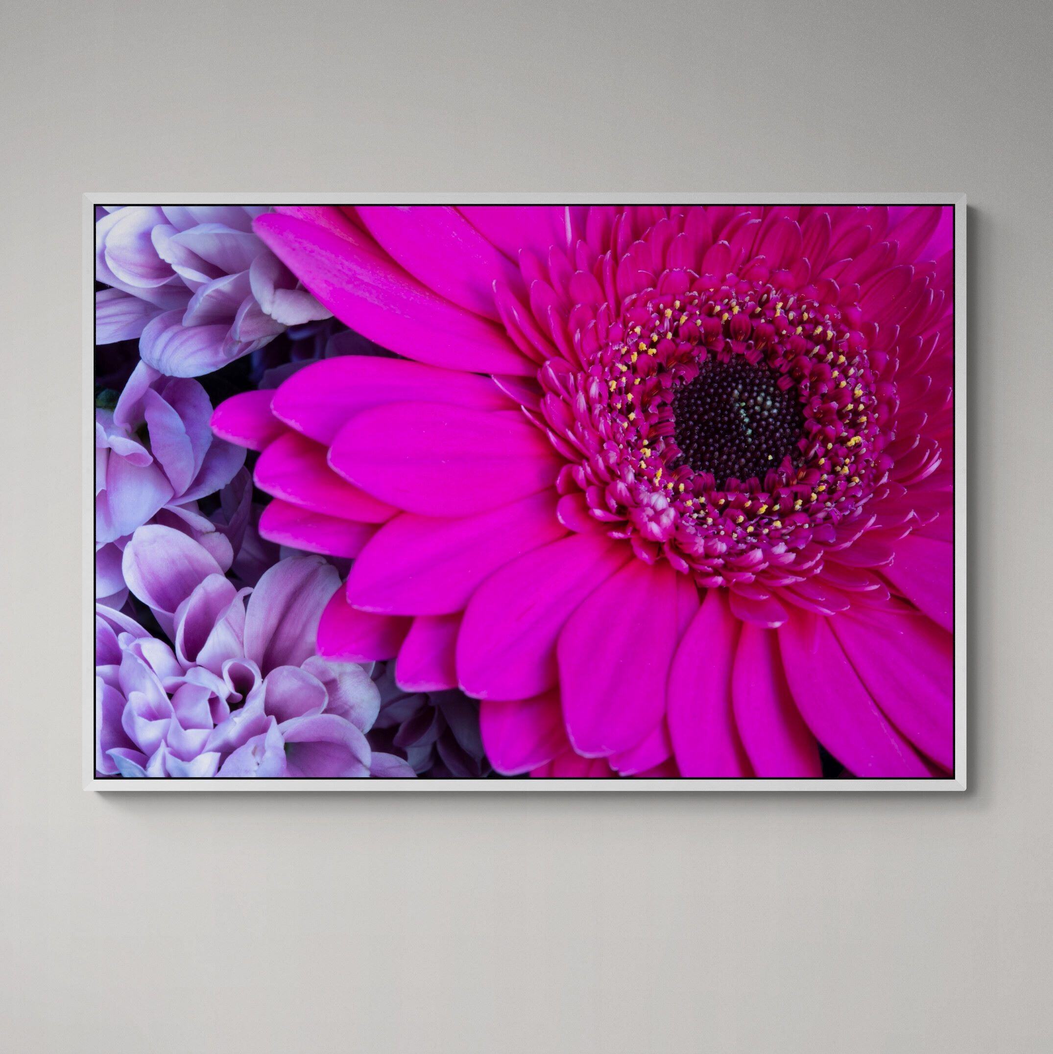 Pink Gerbera | Canvas Print