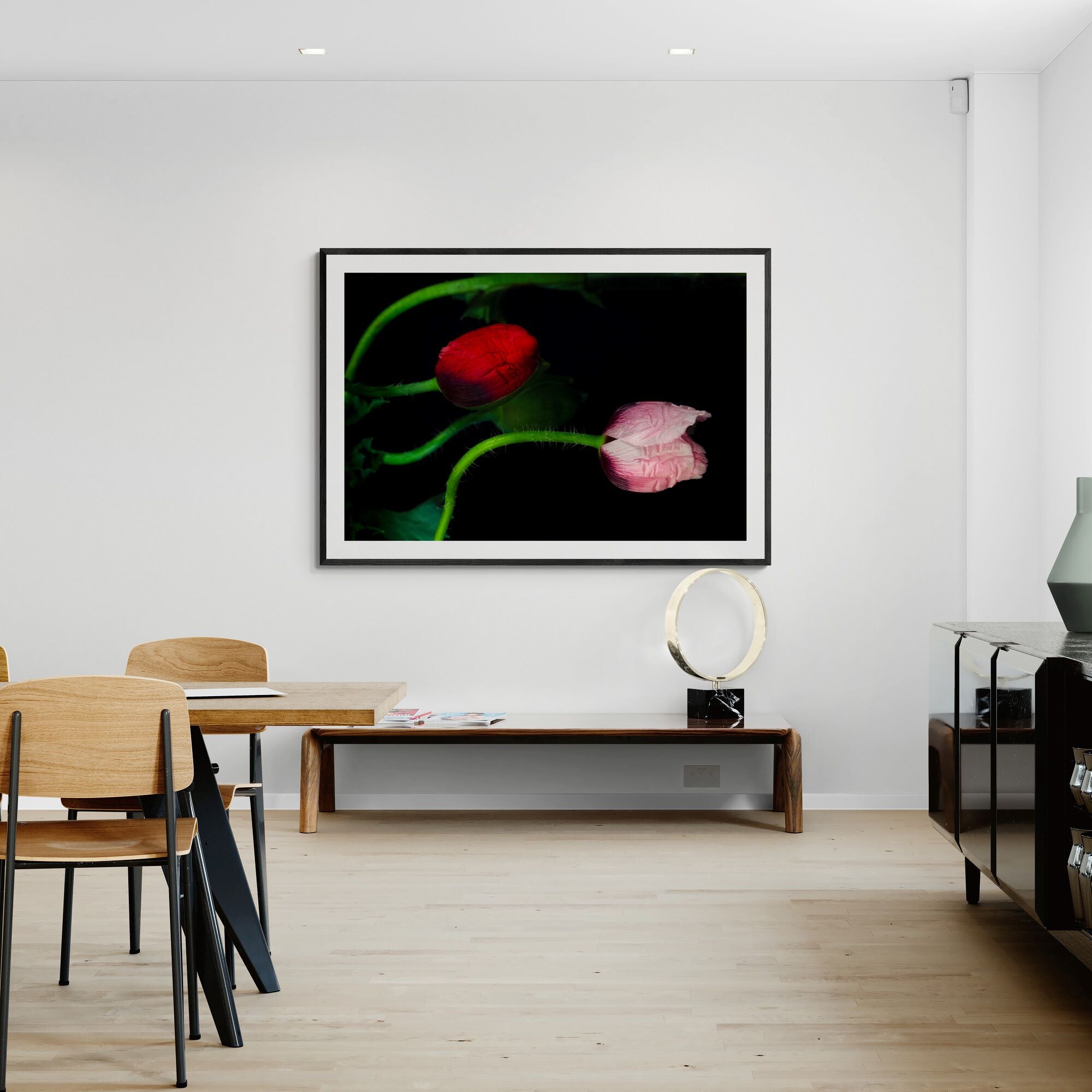 Serpentine Poppies | Open Edition Print