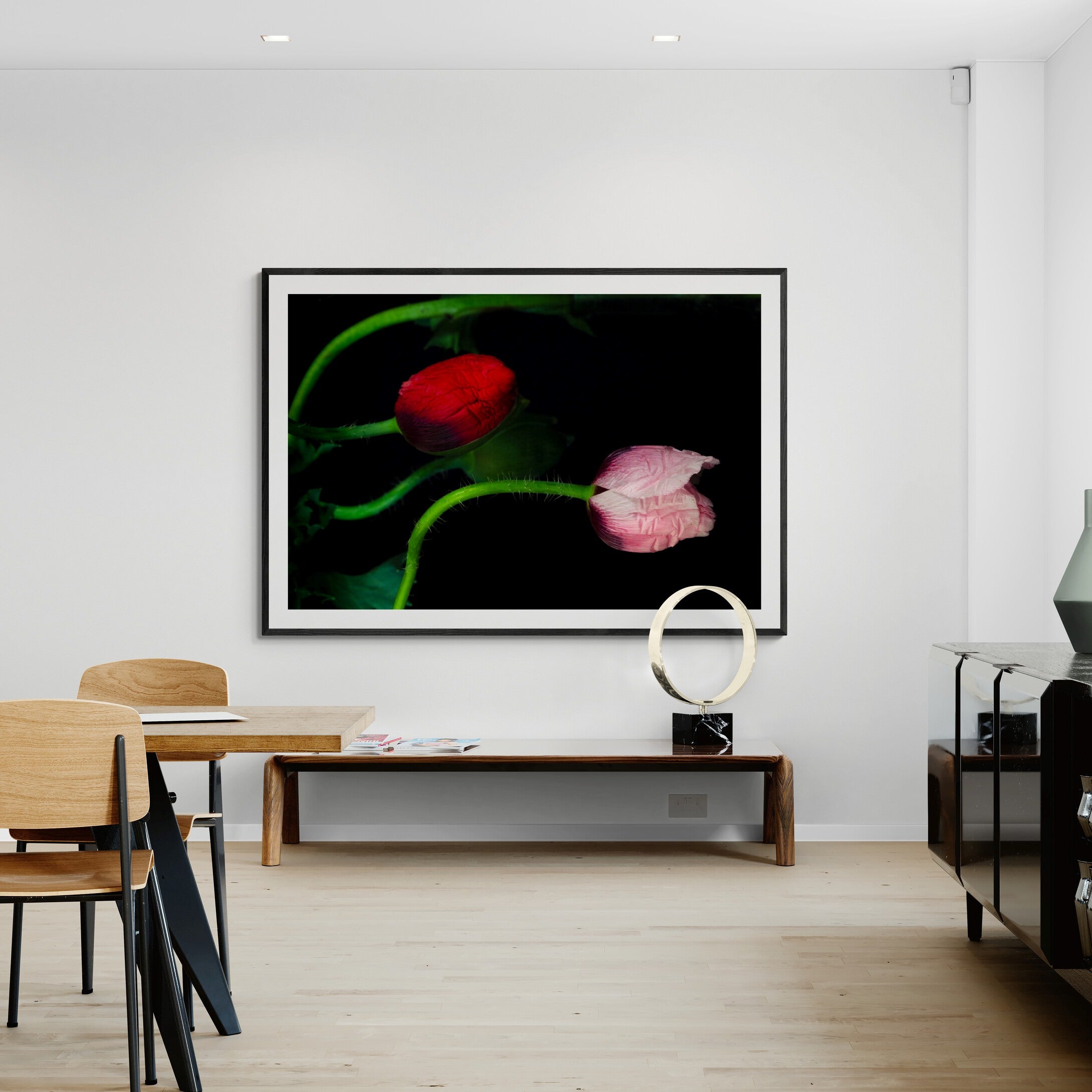 Serpentine Poppies | Open Edition Print