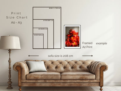 Peony Collection - Coral Sunset Peonies