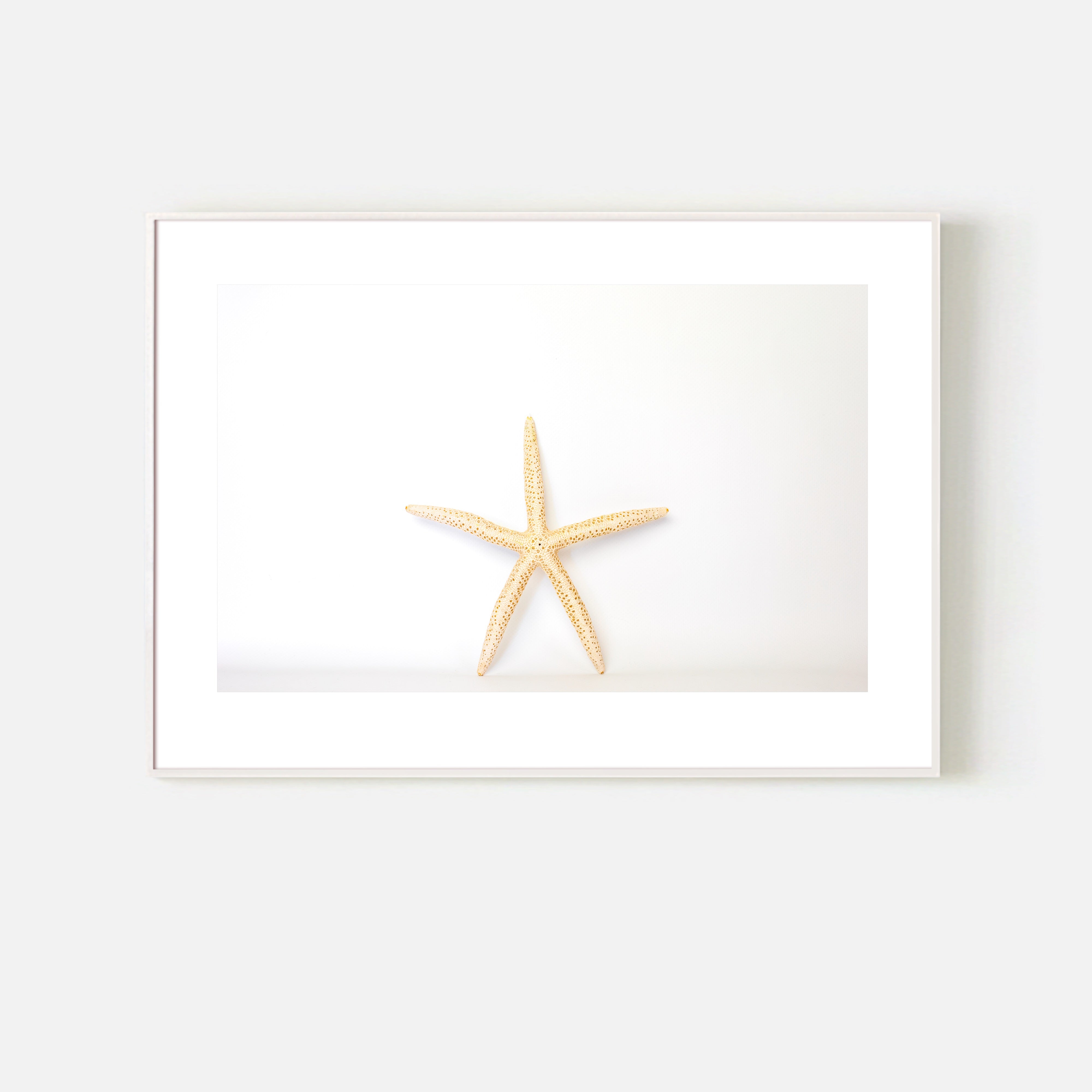 Starfish Poster Print