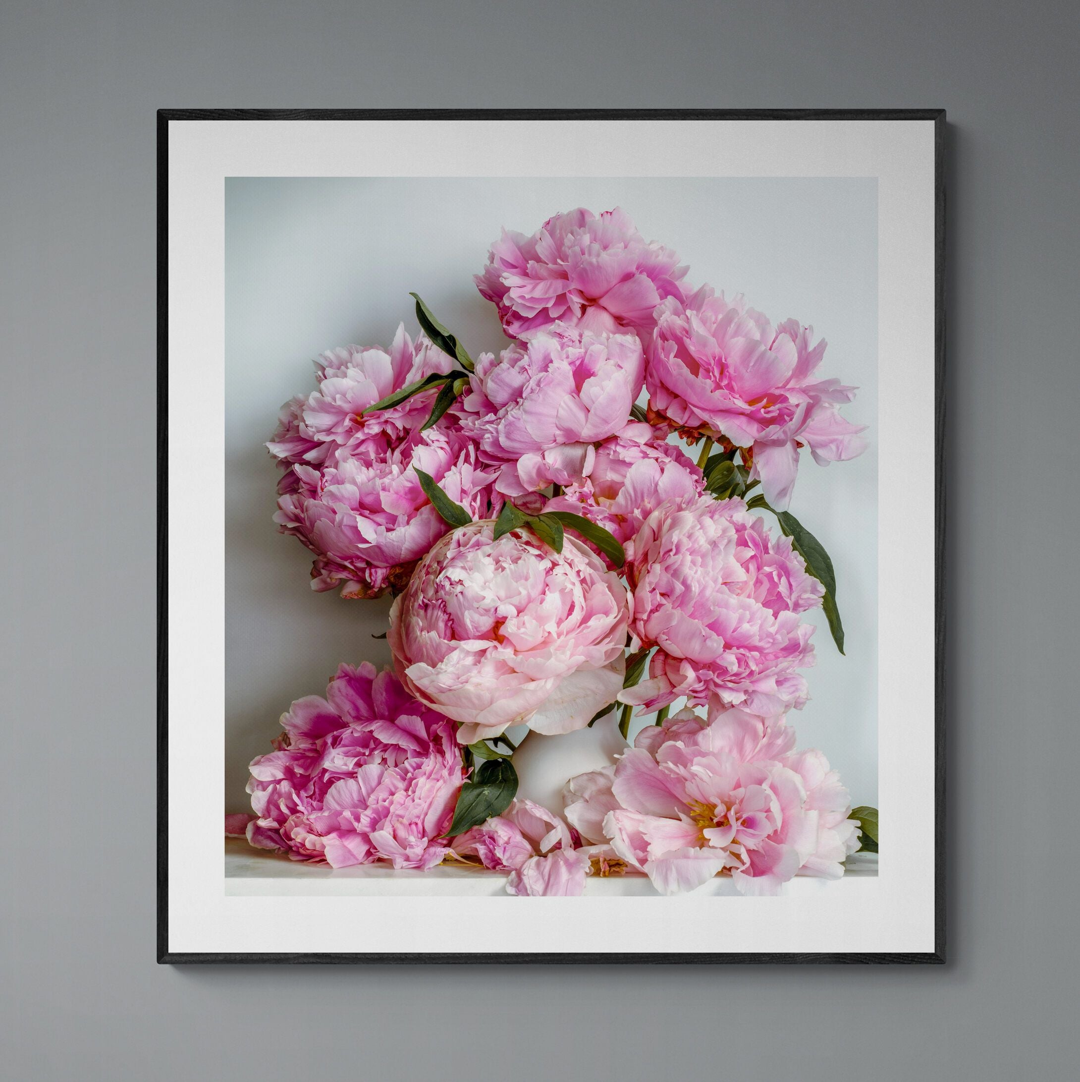 Still Life Pink Peonies Print framed on the wall by Kirsten Clark Art