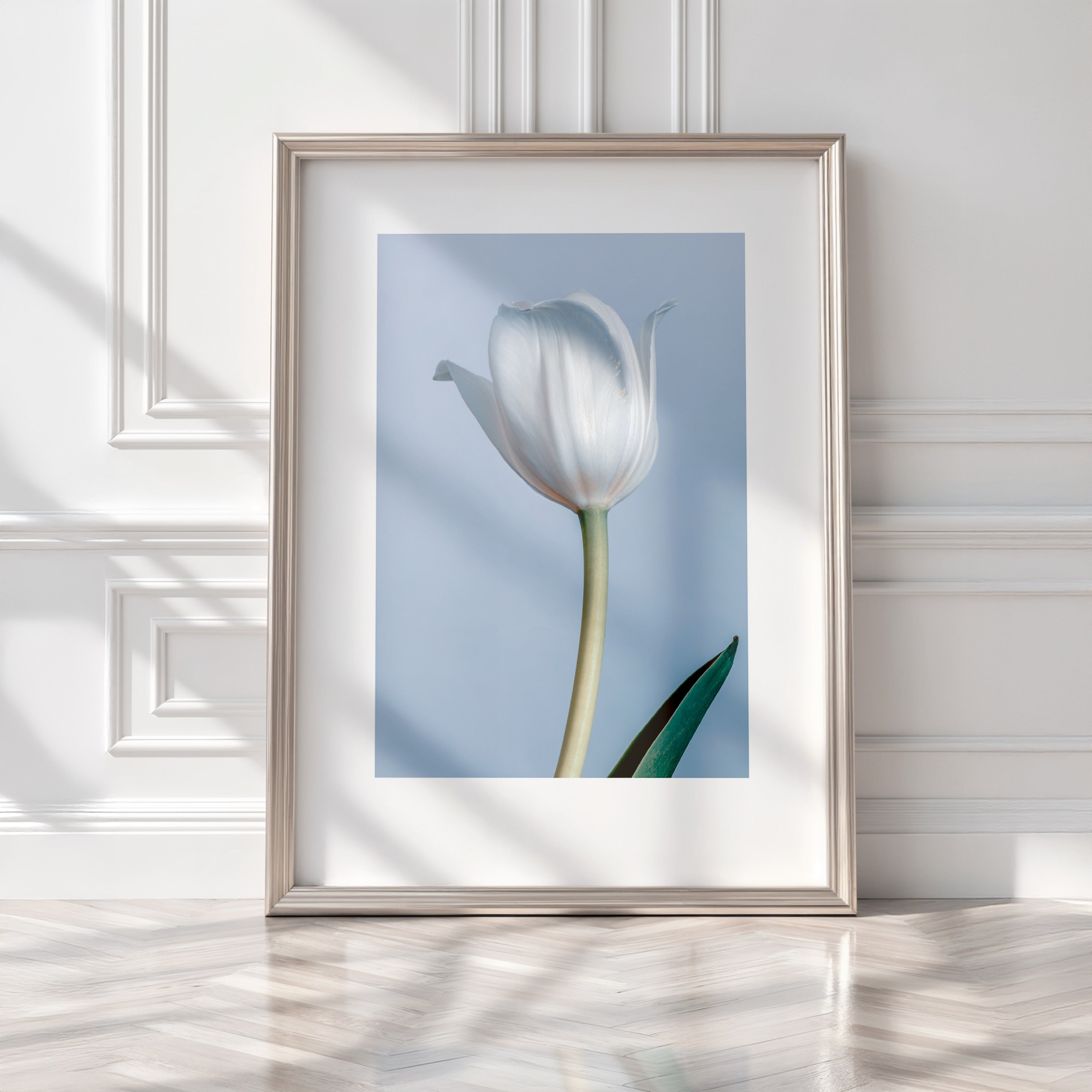 White Tulip Print