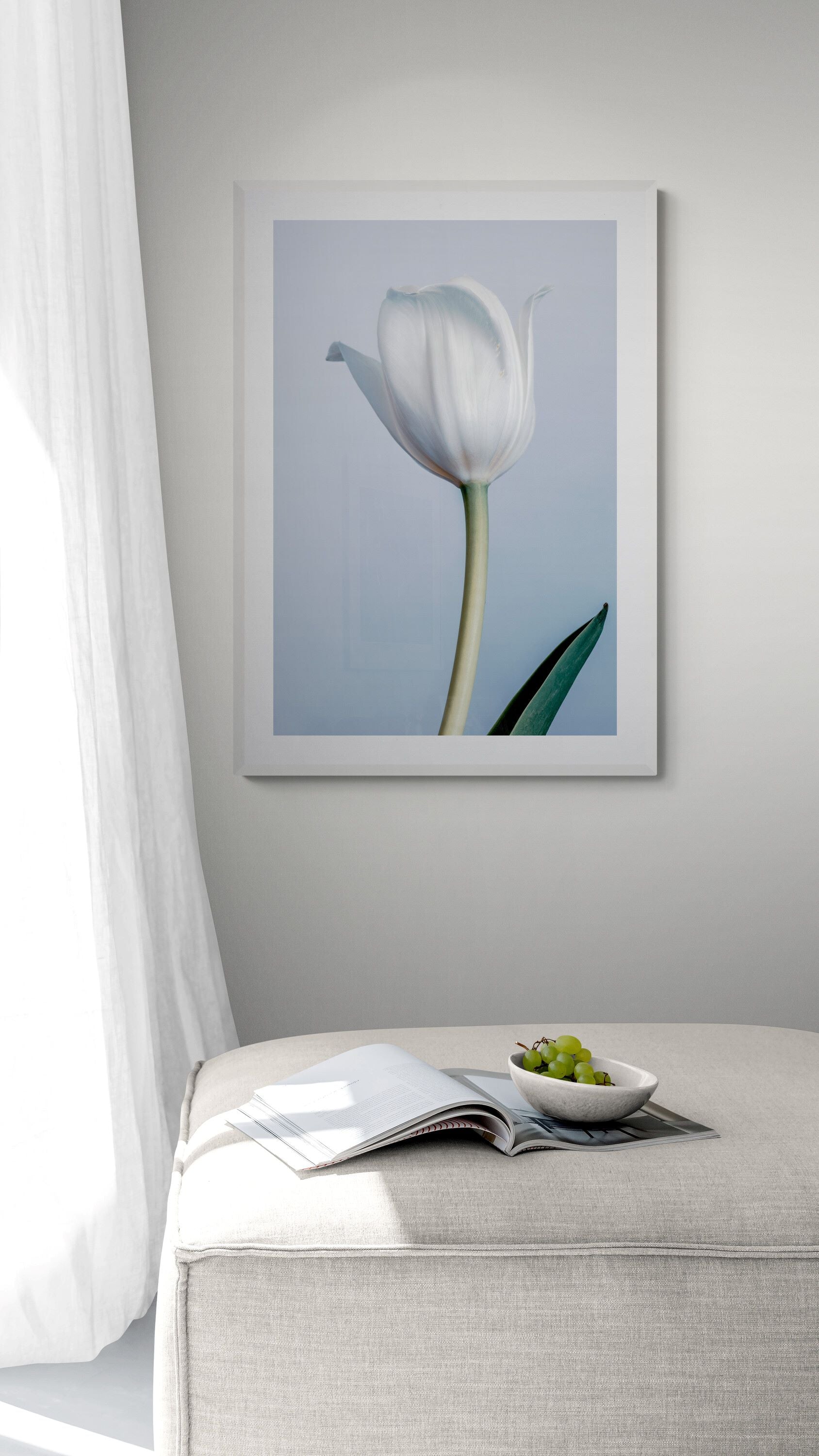 White Tulip - Open Edition Print