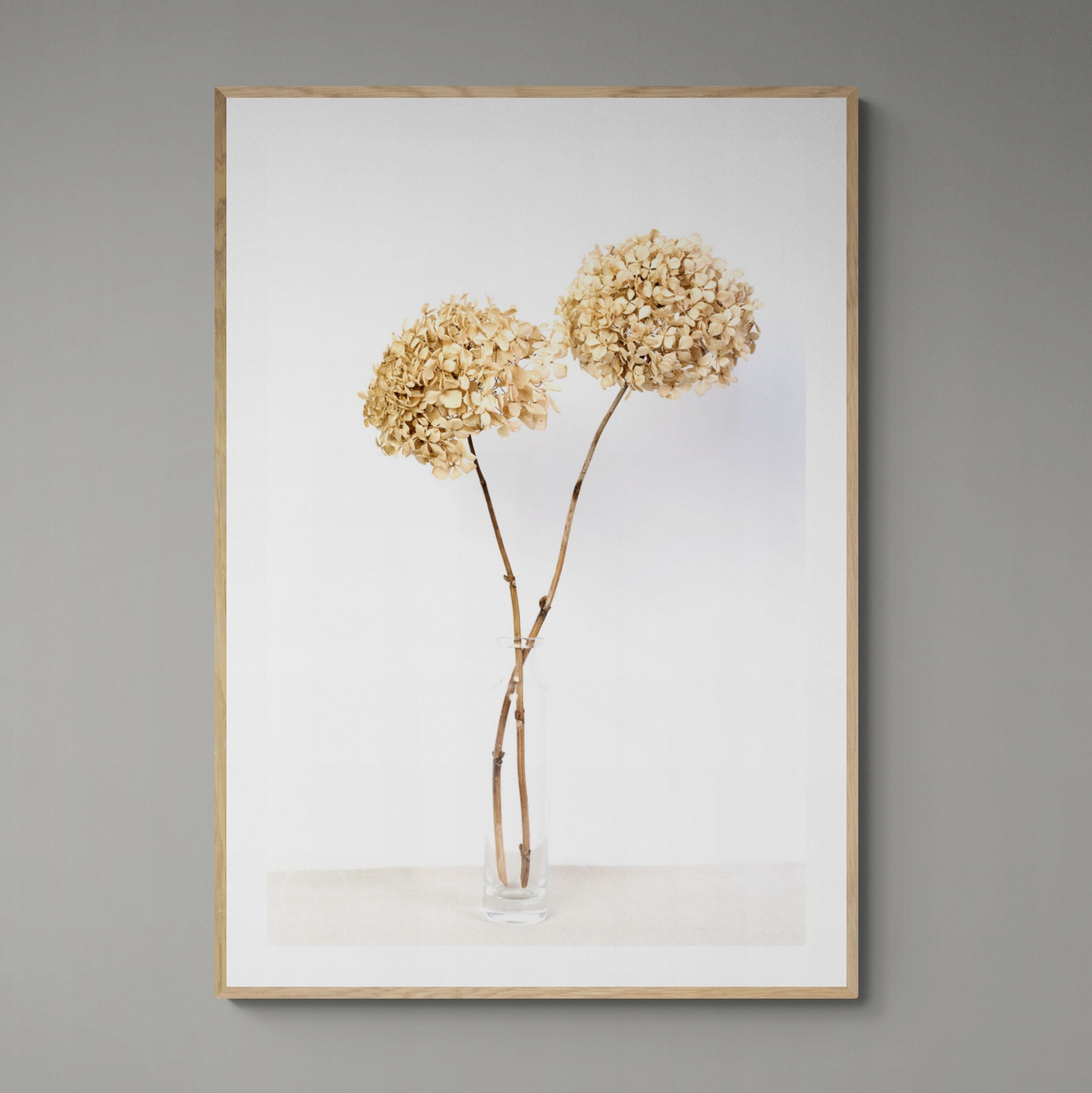 Two Dried Hydrangeas in a vase print framed on the wallby Kirsten Clark Art
