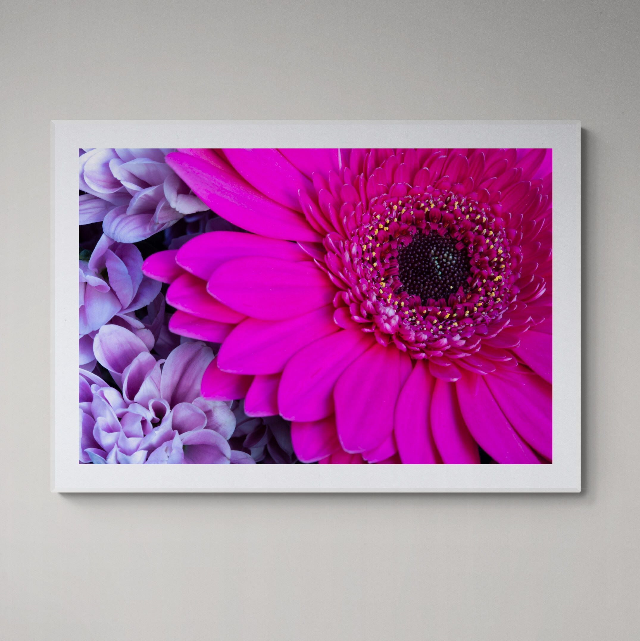 Pink Gerbera | Open Edition Print
