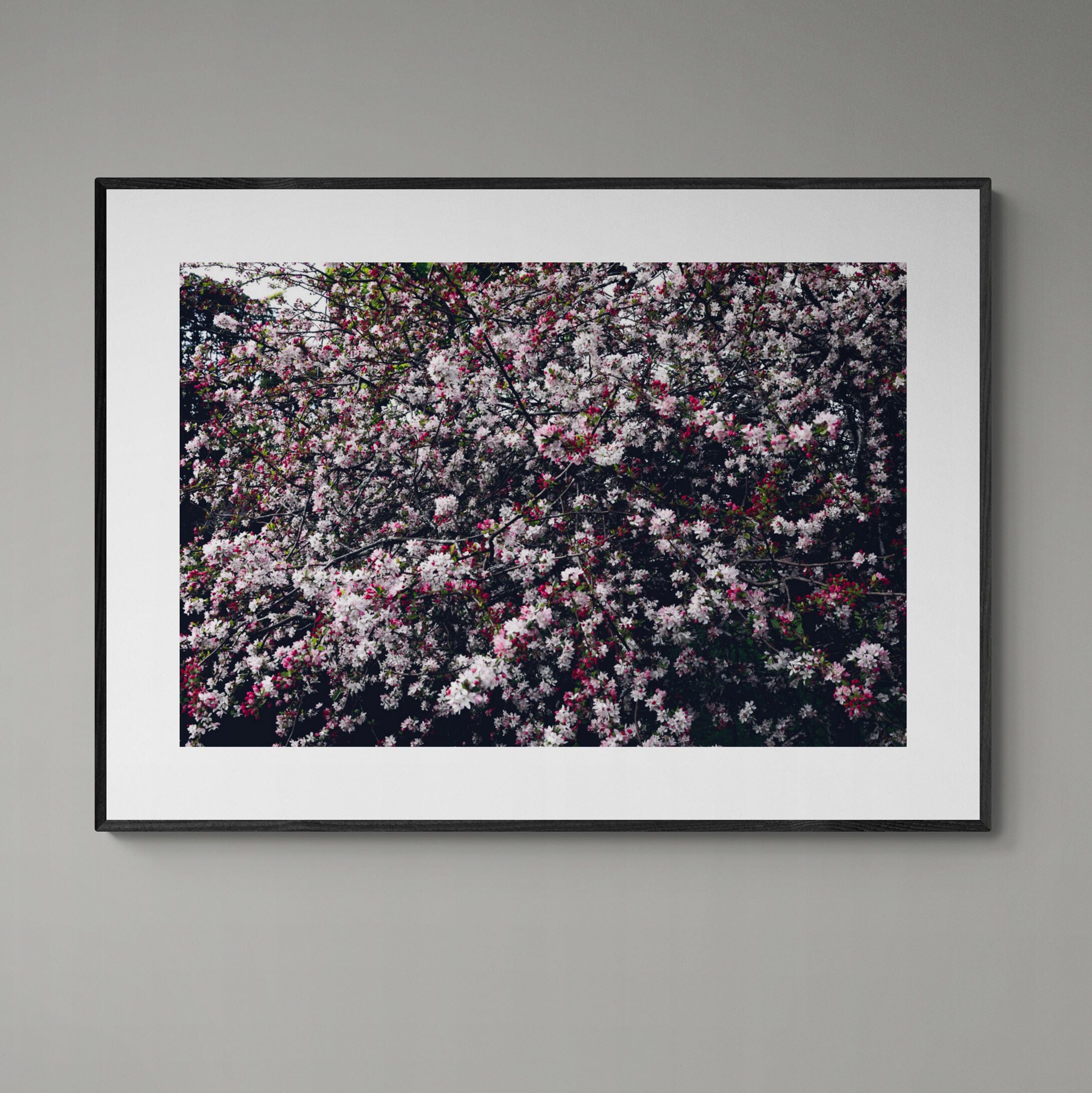 churchyard blossom print framed on wall by Kirsten Clark Art