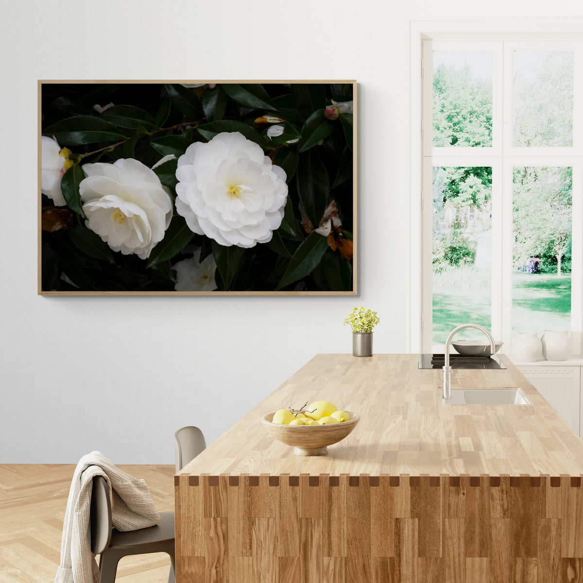 Early Pearly White Camellias | Canvas Print