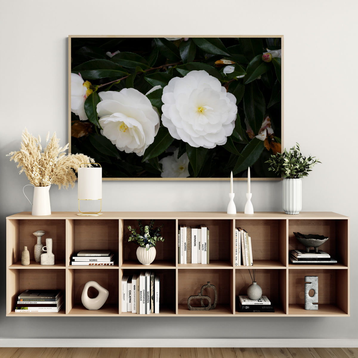 Early Pearly White Camellias | Canvas Print