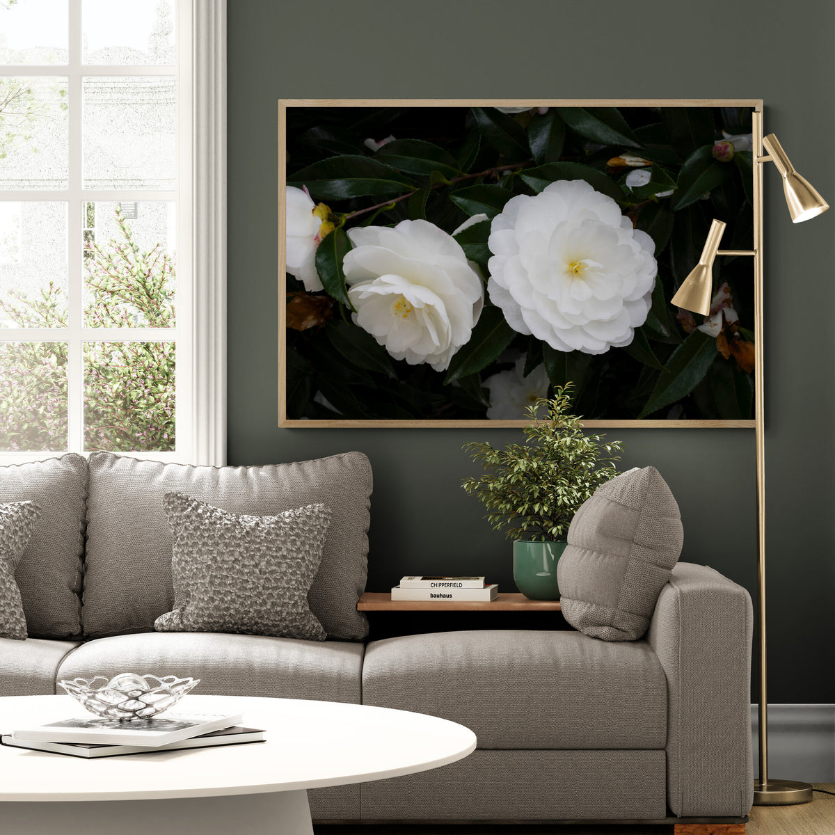 Early Pearly White Camellias | Canvas Print