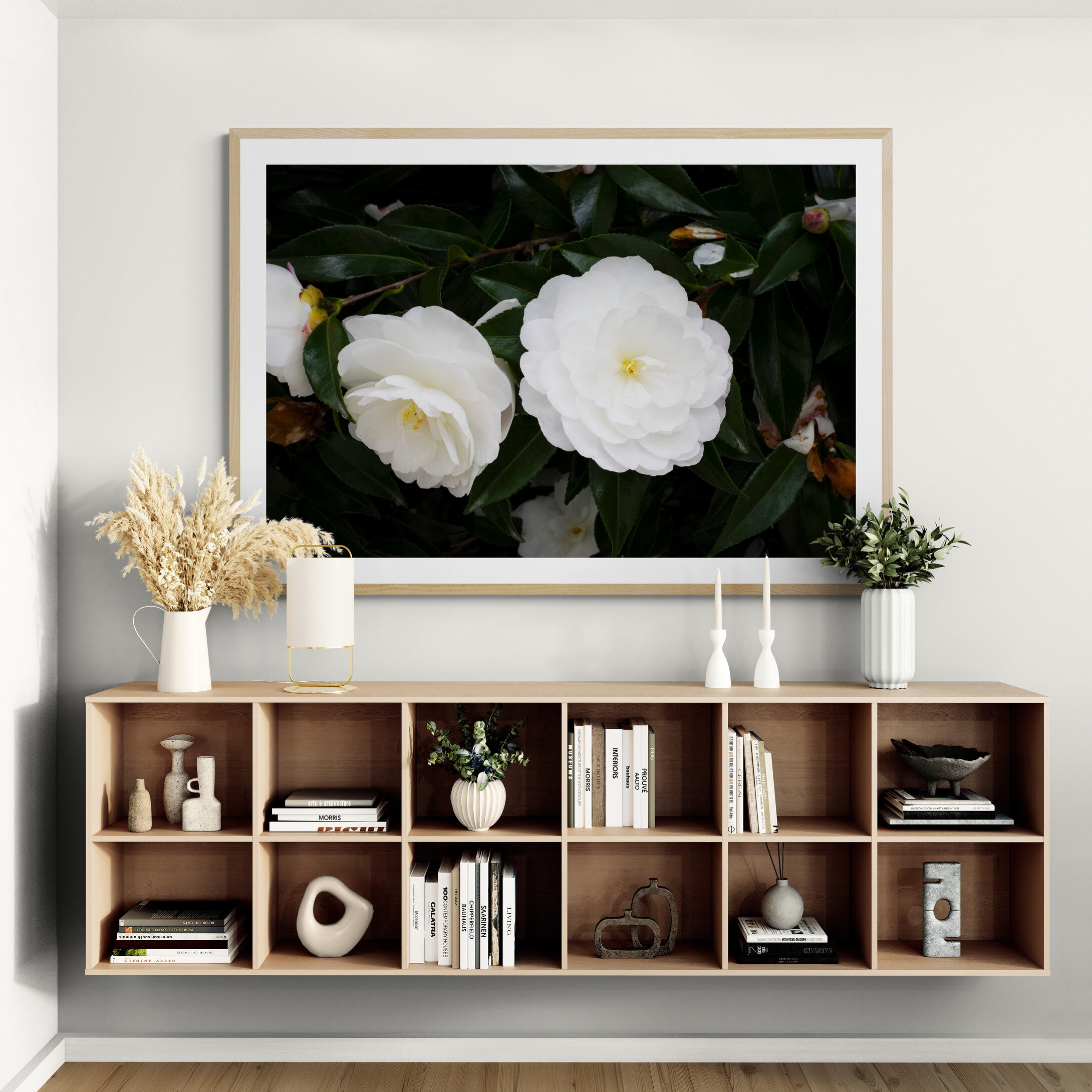 Early Pearly White Camellias | Open Edition Print