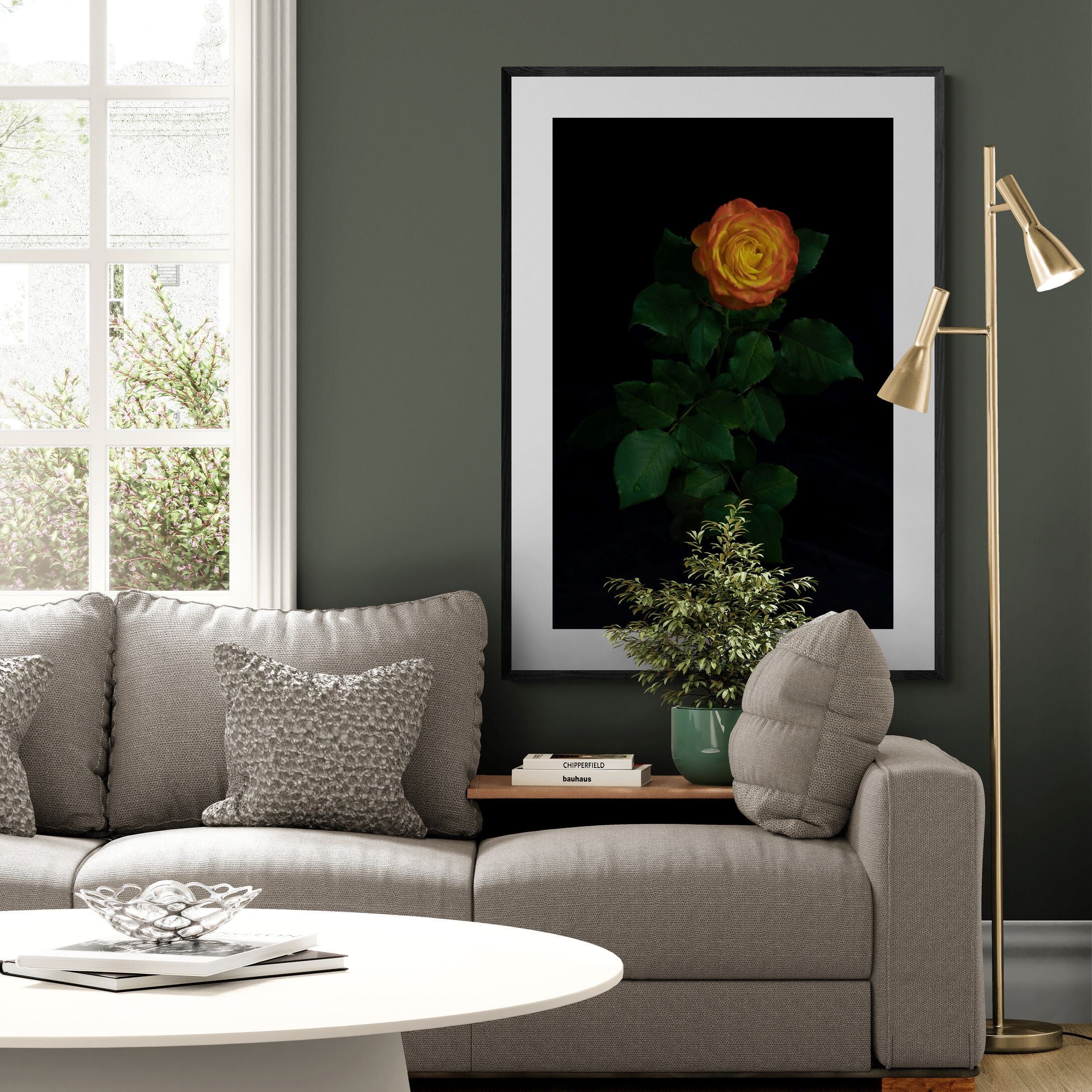 Portrait Of A Rose | Limited Edition Print