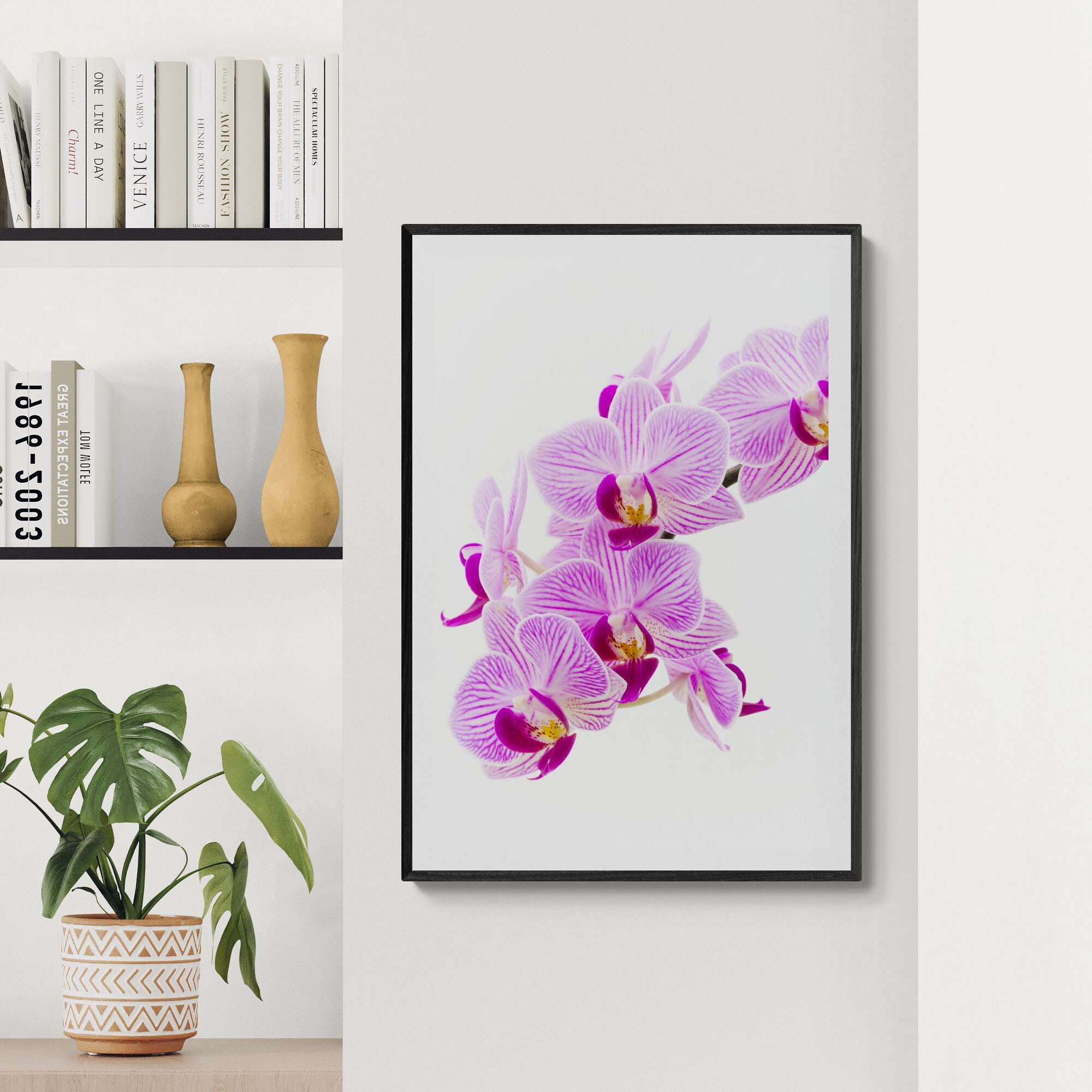 Pink Orchid | Open Edition