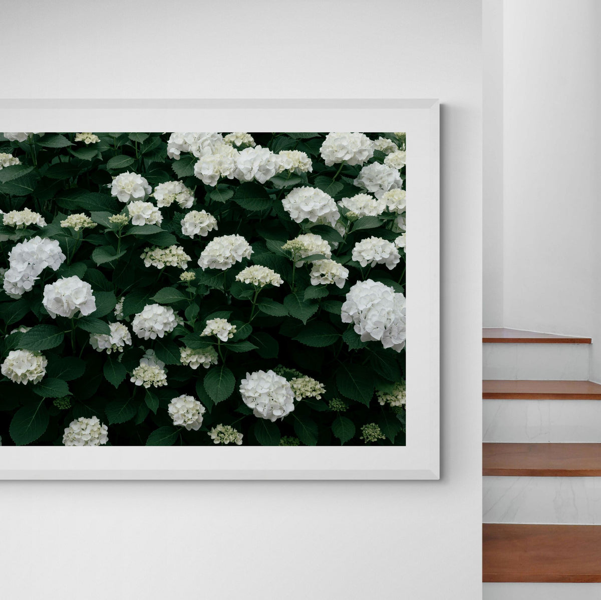 White Hydrangeas Print | Floral Wall Art