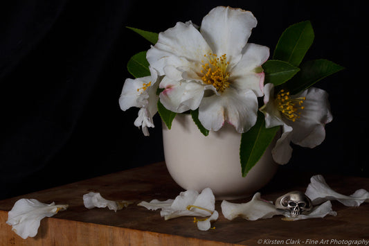 White Camellias and Skull Ring Print by Kirsten Clark Art