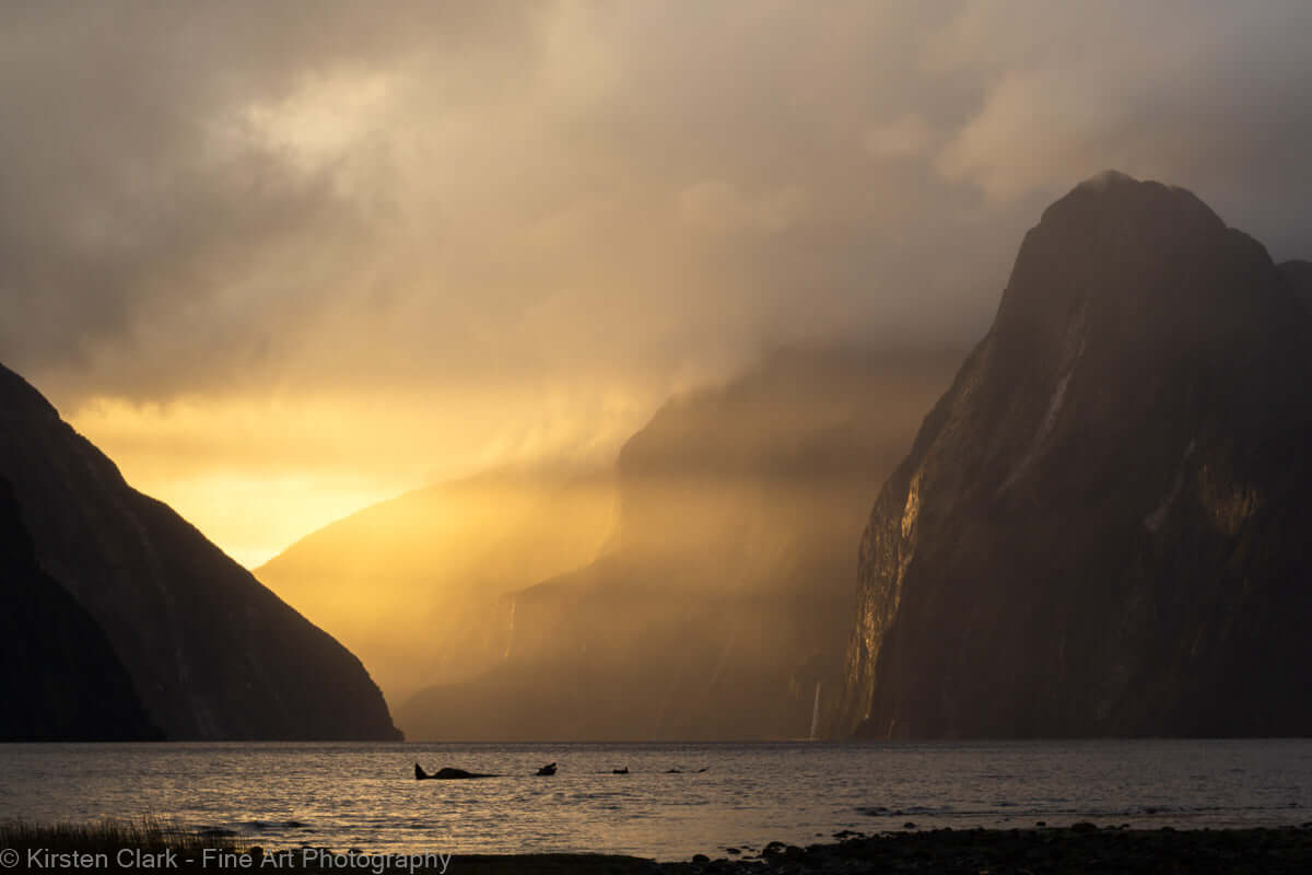 Milford Sound Golden Hour NZ Landscape Print by Kirsten Clark Art